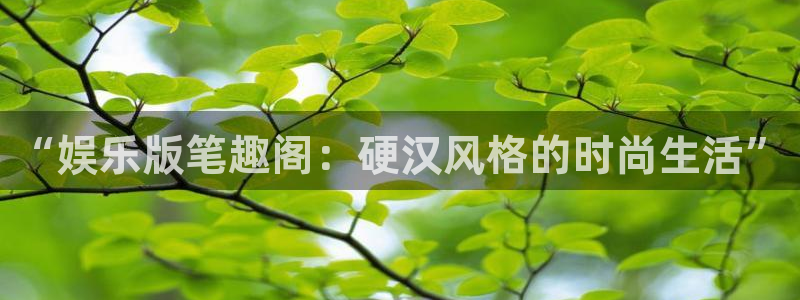 沐鸣2平台：“娱乐版笔趣阁：硬汉风格的时尚生活”