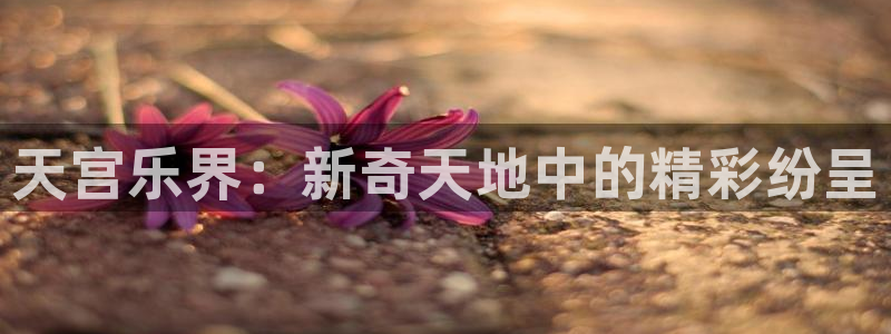 沐鸣2官方登录：天宫乐界：新奇天地中的精彩纷呈