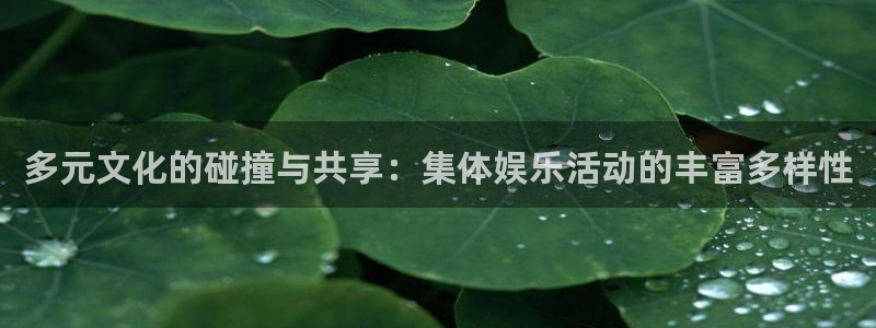 沐鸣2平台官网登录：多元文化的碰撞与共享：集体娱乐活动的丰富多样性