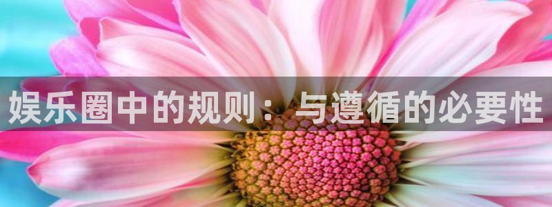 沐鸣娱乐：娱乐圈中的规则：与遵循的必要性